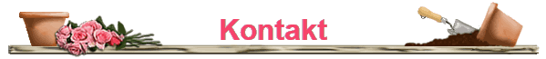 Kontakt